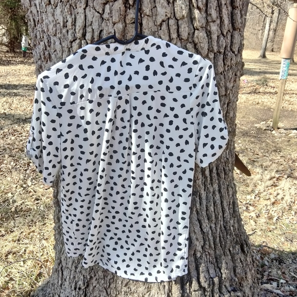 ⬇️ Price Drop!⬇️ Perception Concepts Blouse in size M - Picture 2 of 3